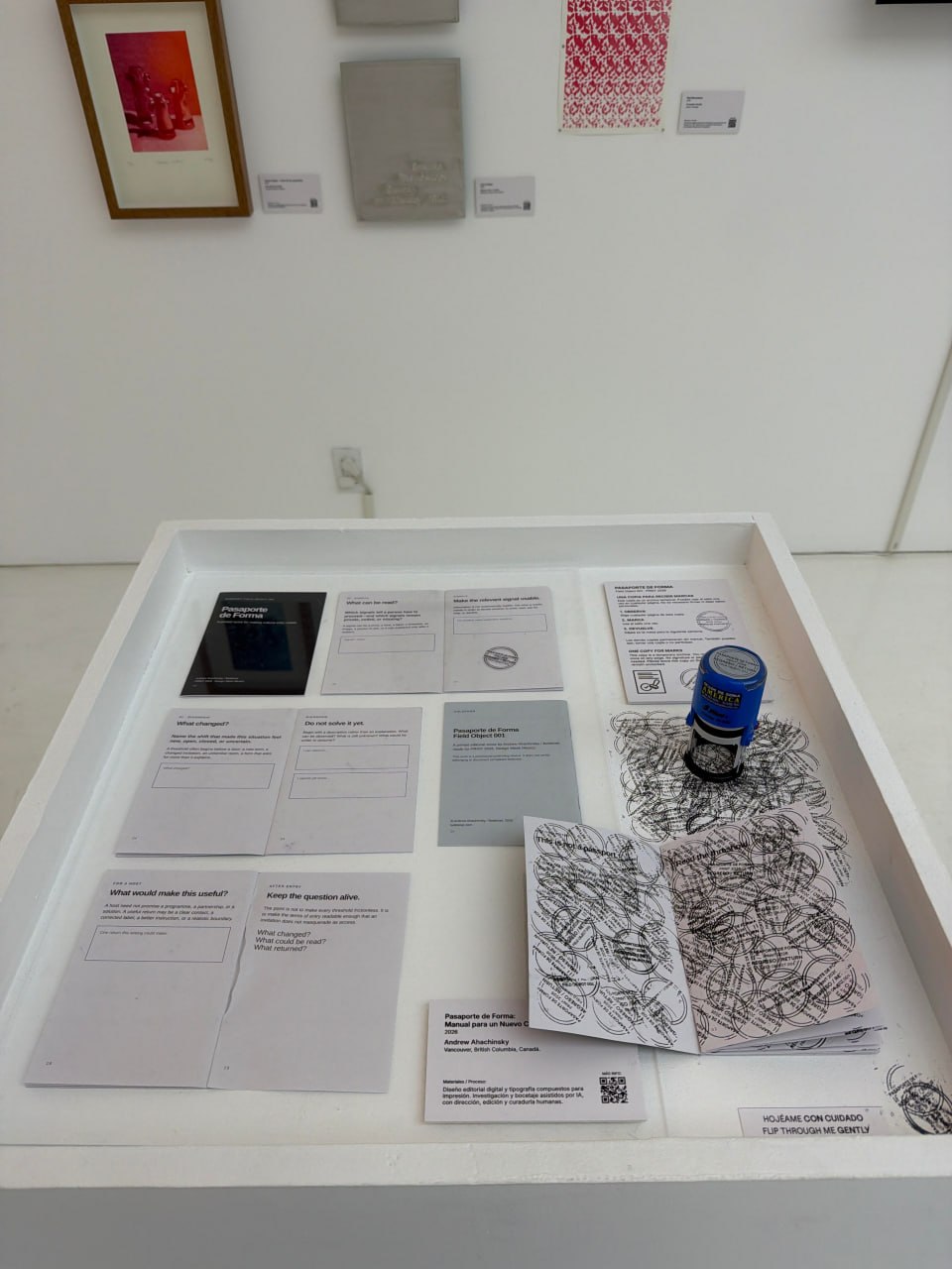 Pasaporte de Forma installation photographed by Miguel Alpuche.
